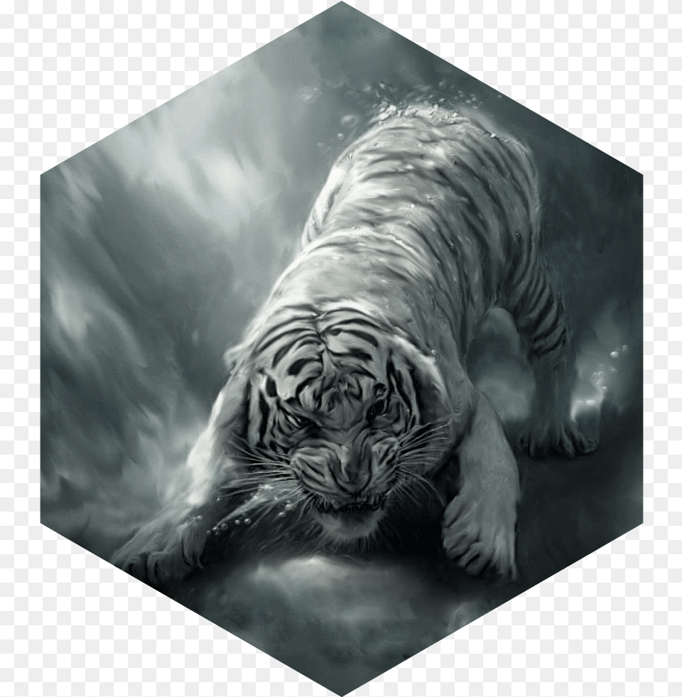 Painting White Tiger Angry Siberian Tiger In Water, Animal, Mammal, Wildlife Free Png Download