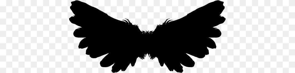 Pair Of Large Open Wings, Silhouette, Animal, Bear, Bird Png