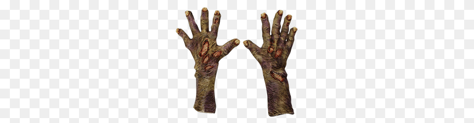 Pair Of Zombie Hands, Body Part, Person, Finger, Hand Free Png