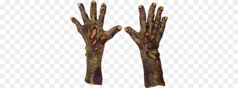 Pair Of Zombie Hands Zombie Rotted Hands Costume Accessories Halloween, Electronics, Hardware, Body Part, Hand Free Png Download