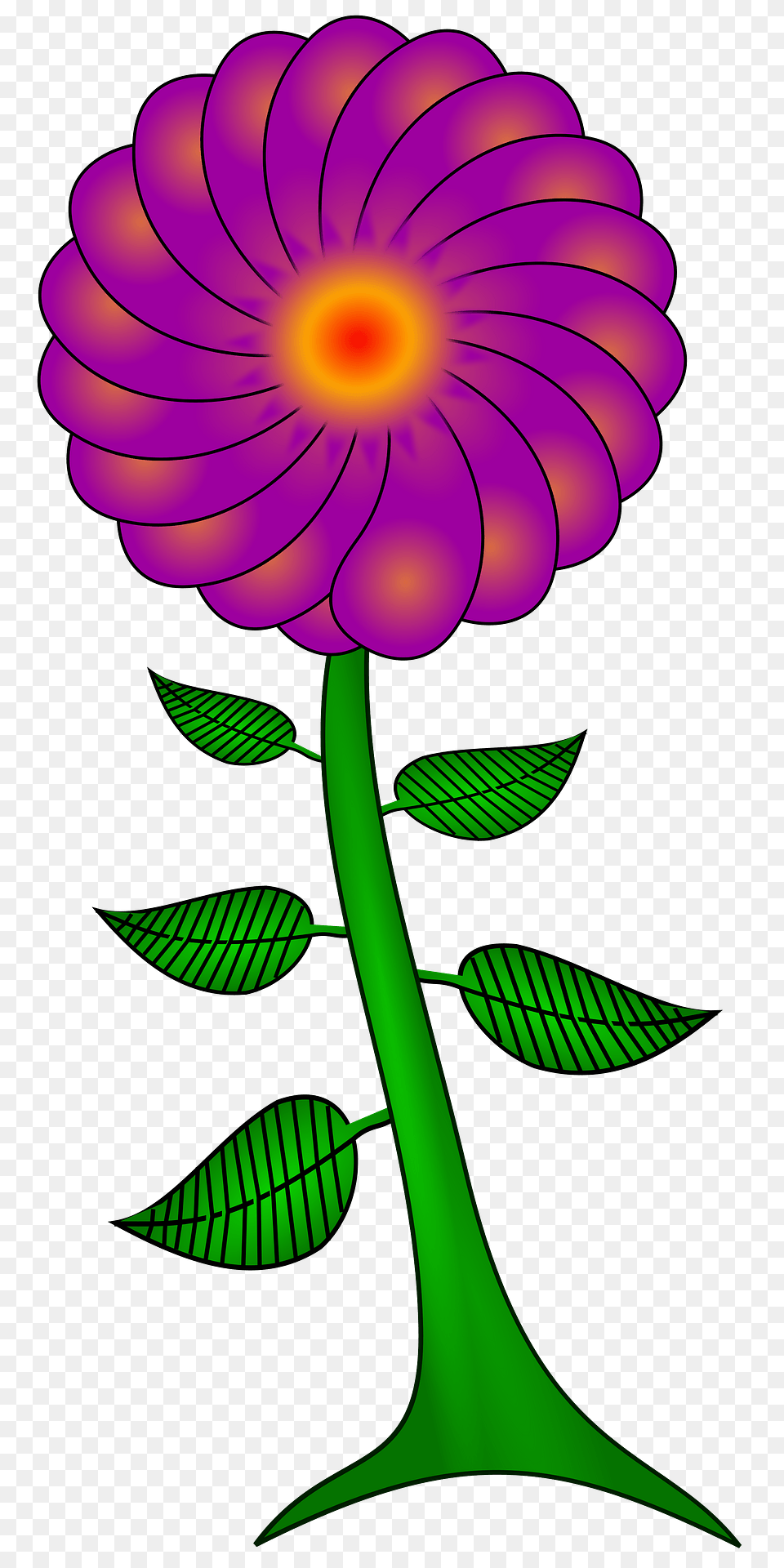 Paisley Flower Clipart, Plant, Dahlia, Daisy, Petal Free Png