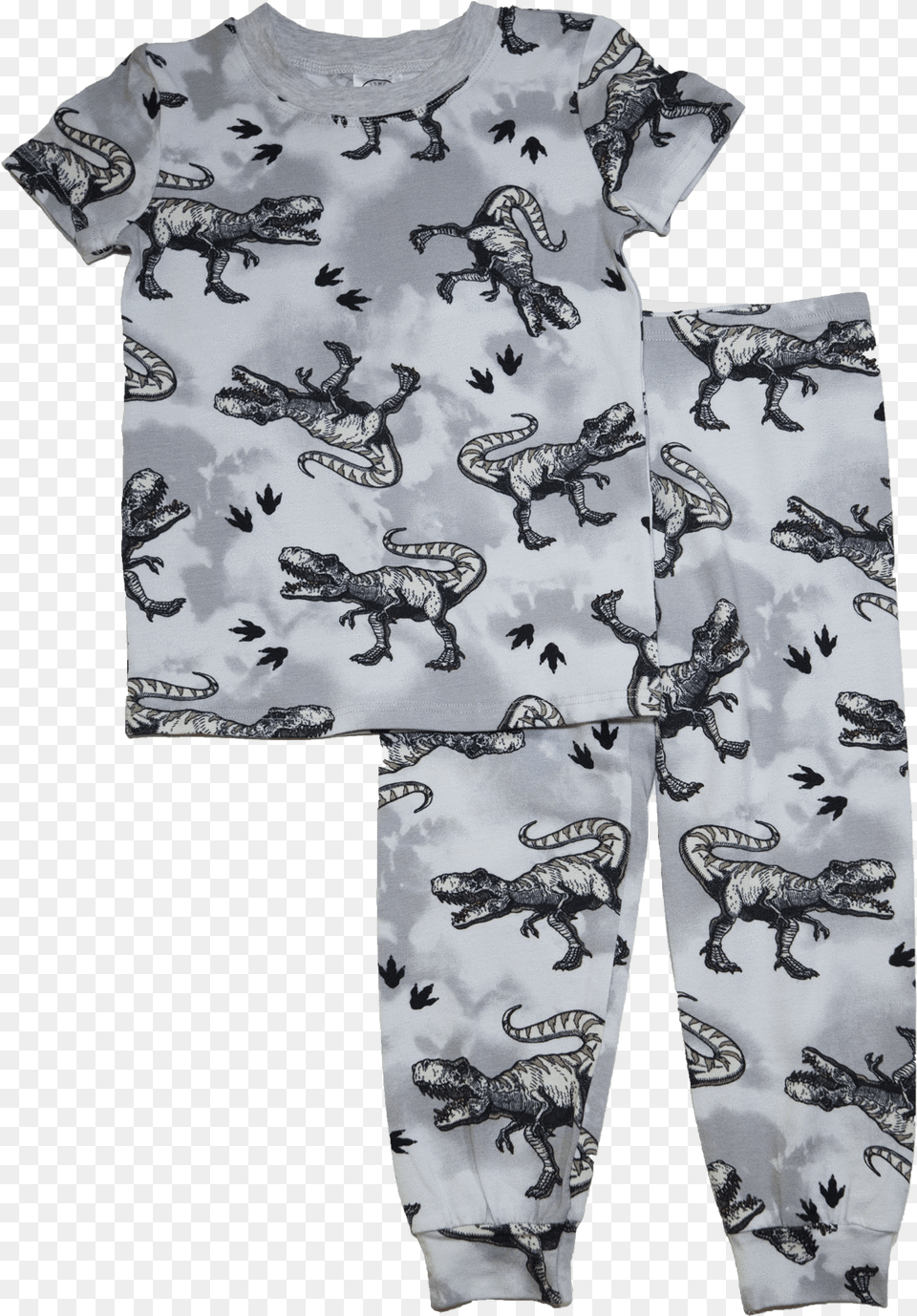 Pajamas, Animal, Dinosaur, Reptile, Sea Life Png