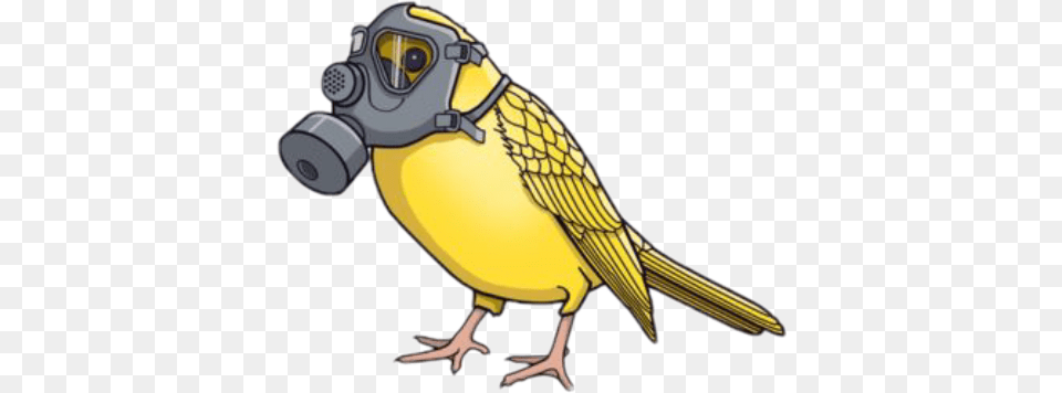 Pajaro Peligro Bird With Gas Mask, Animal Free Transparent Png