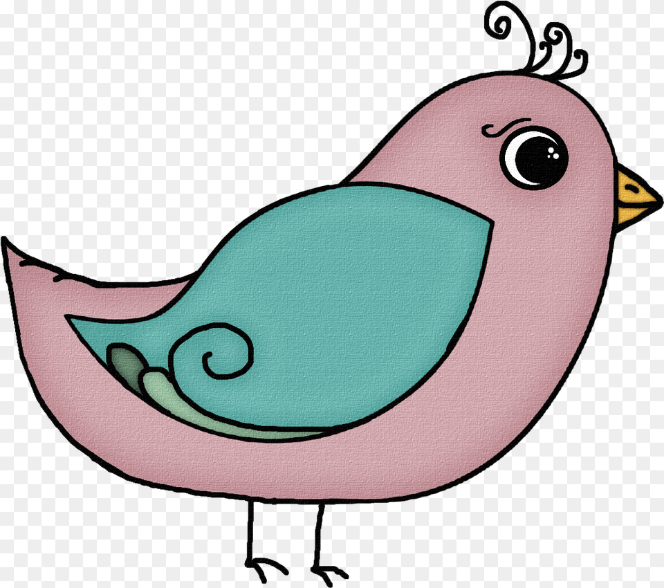 Pajaros Cute Bird Picturesque Birdcage Bird Clip Art, Animal, Beak, Finch, Parakeet Free Png Download
