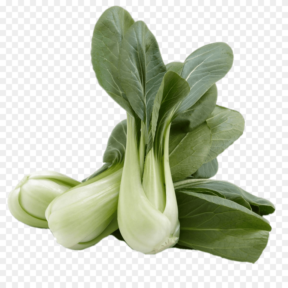 Pak Choy, Food, Leafy Green Vegetable, Plant, Produce Free Transparent Png
