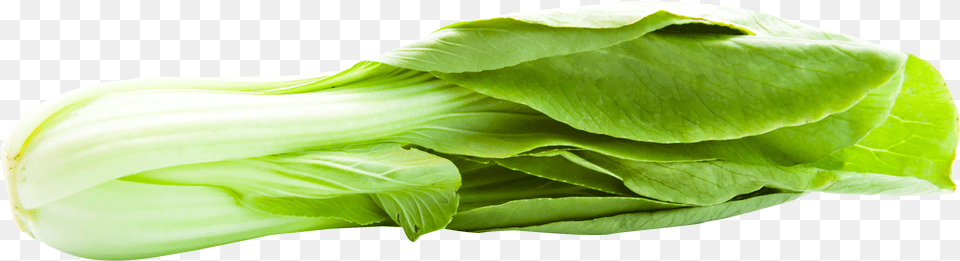 Pak Choy, Food, Leafy Green Vegetable, Plant, Produce Free Png Download