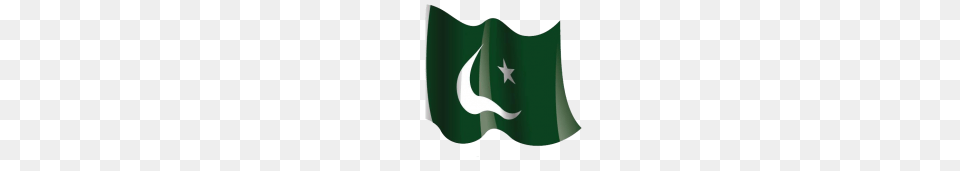 Pakistan Flag Hd Vector Clipart, Pakistan Flag Free Png