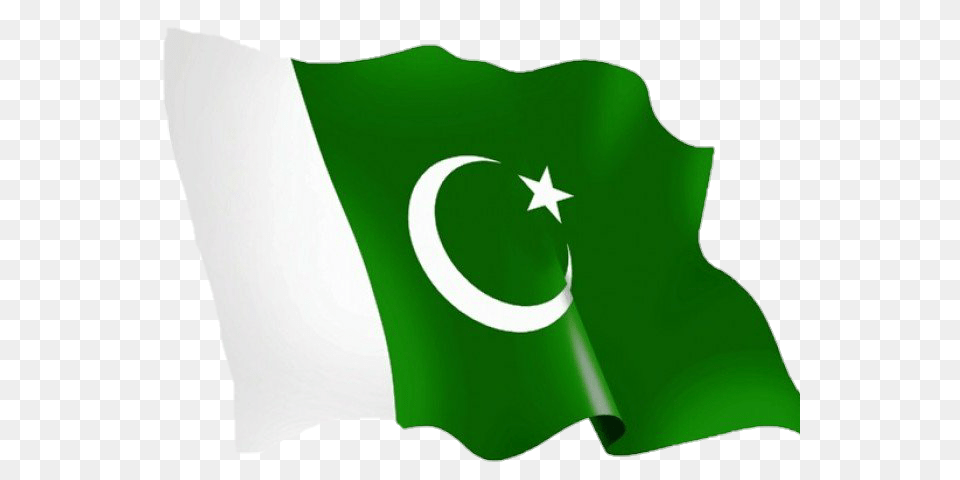 Pakistan Flag Pakistaniflag Green Islamic Islam, Pakistan Flag, Person Png