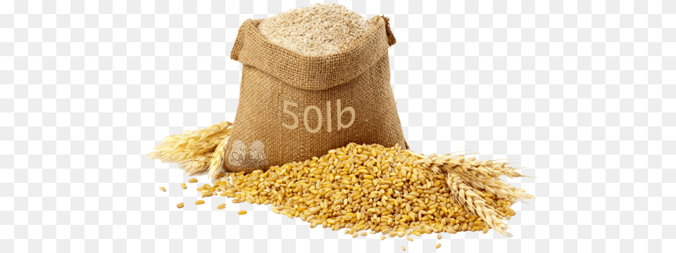 Palay Grains, Bag, Food, Grain, Produce Free Png Download