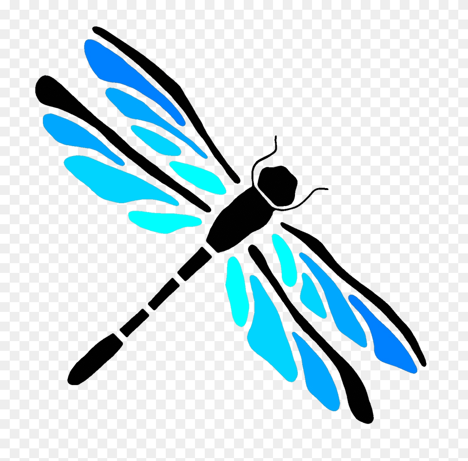 Pale Blue Dot Media, Animal, Bee, Insect, Invertebrate Free Transparent Png