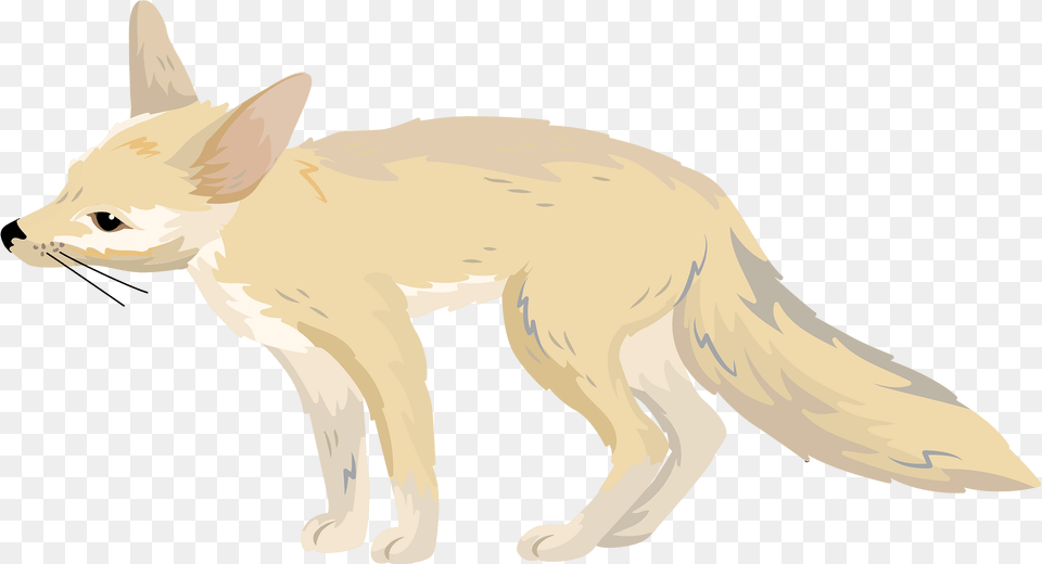 Pale Fox Clipart, Animal, Canine, Kit Fox, Mammal Free Png Download