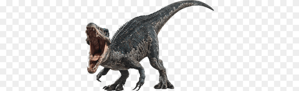 Paleobirding, Animal, Reptile, Dinosaur, T-rex Png