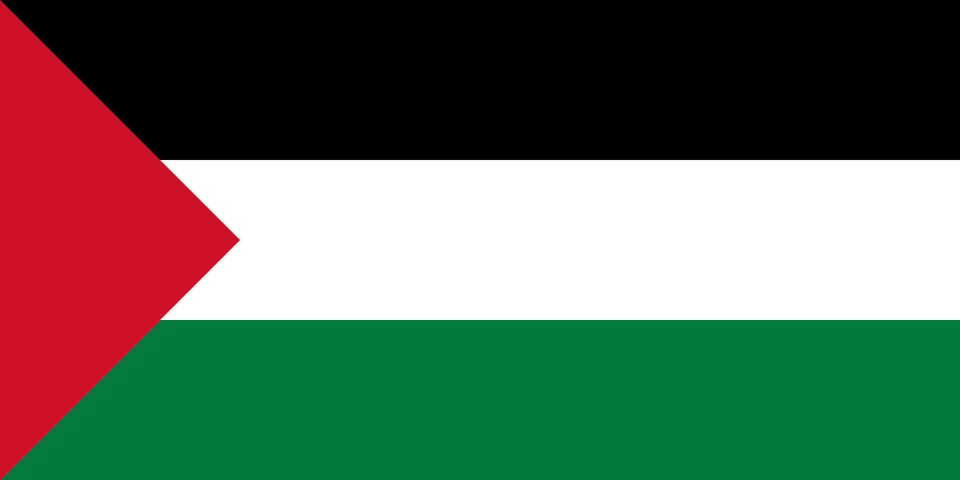 Palestine Clipart, Flag Free Png Download