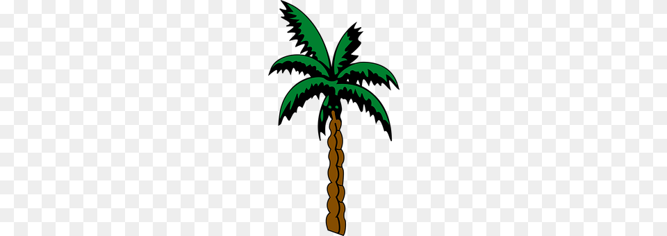 Palm Palm Tree, Plant, Tree, Cross Free Png