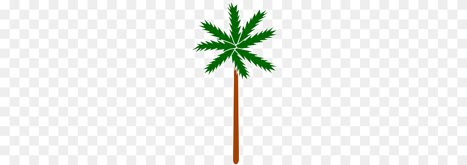 Palm Leaf, Palm Tree, Plant, Tree Free Png Download