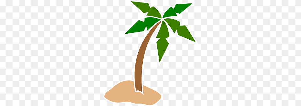 Palm Leaf, Plant, Herbal, Herbs Free Png
