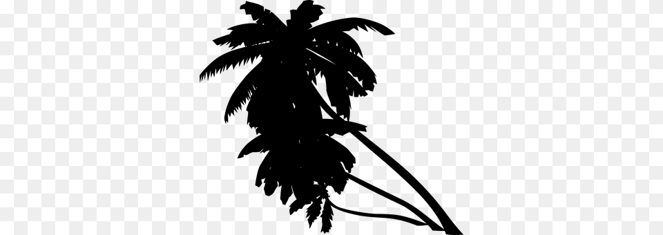 Palm Gray Png Image