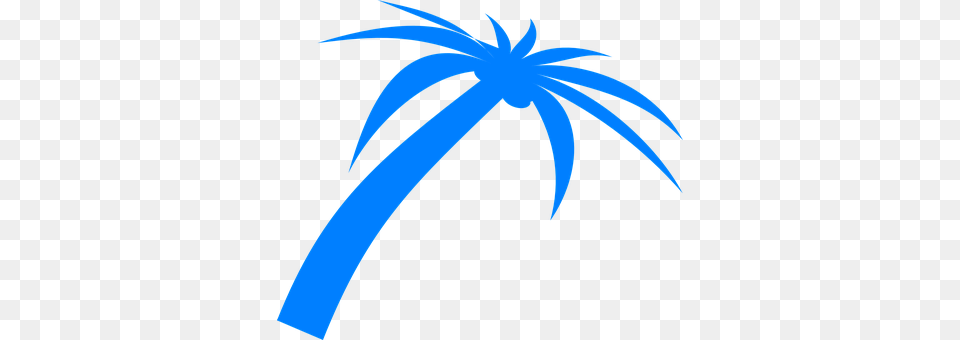 Palm Palm Tree, Plant, Tree, Animal Free Png