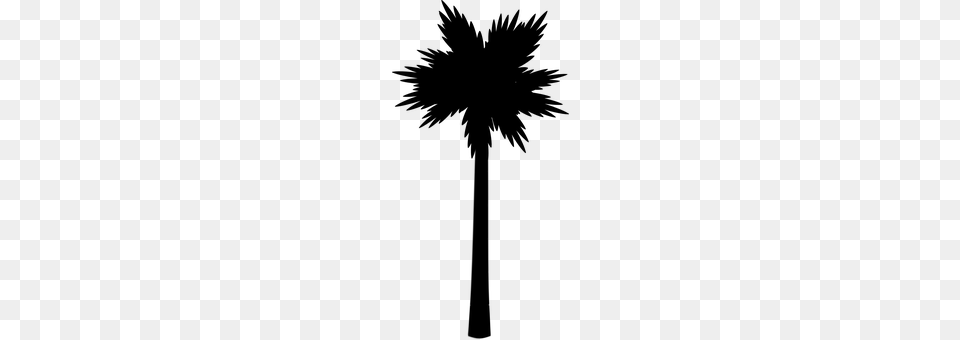 Palm Gray Png Image