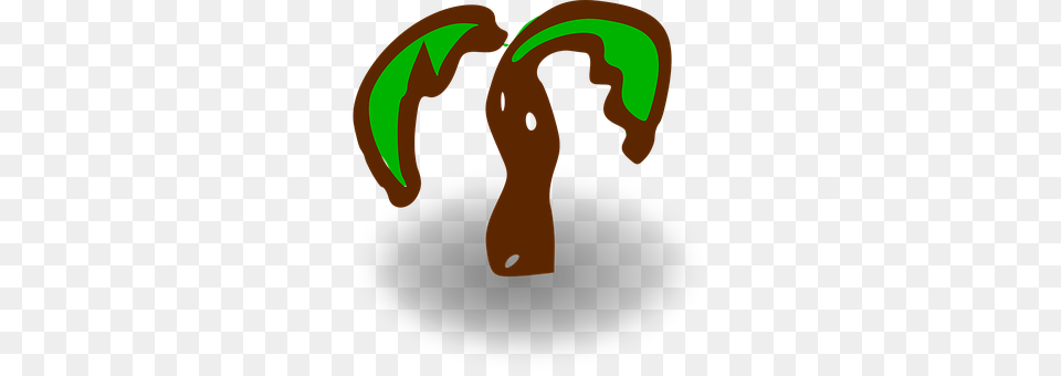 Palm Png Image