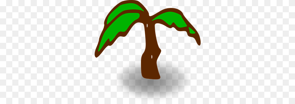 Palm Free Transparent Png