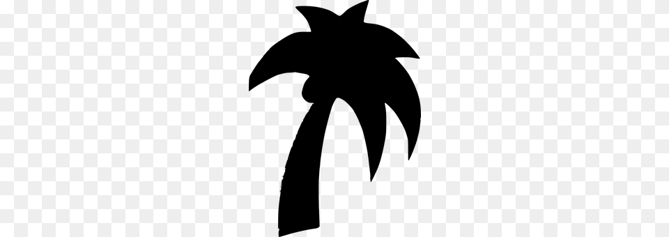 Palm Gray Png