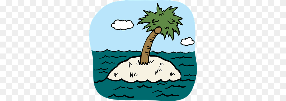 Palm Water, Sea, Plant, Palm Tree Free Png