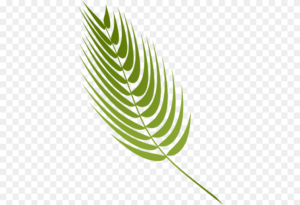 Palm And Crown Of Thorns Clipart, Leaf, Plant, Fern, Chandelier Png Image