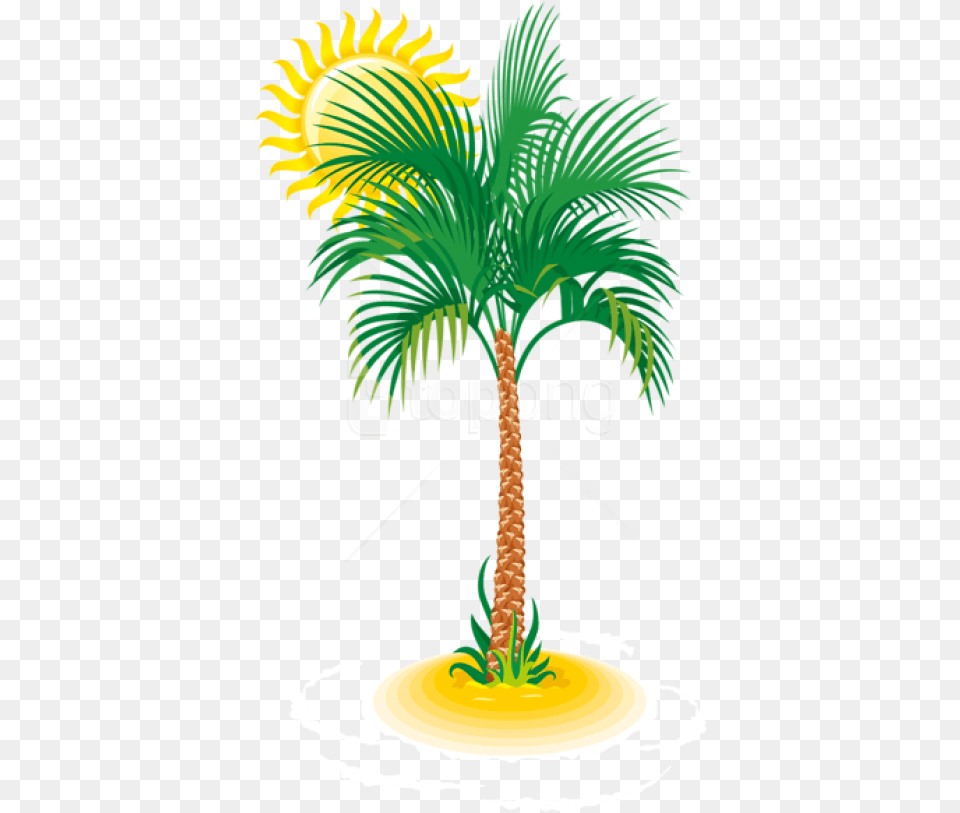 Palm And Sun Clipart Photo Tree Vector, Palm Tree, Plant, Vegetation Free Png