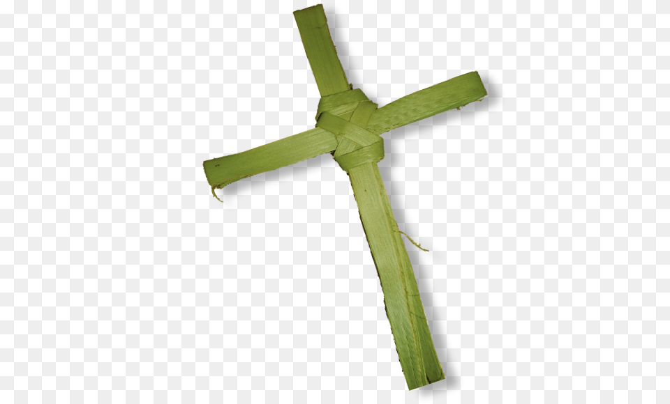 Palm Branch Christian Cross Trees Photography Finger Palm Tree With A Cross, Symbol, Crucifix Png