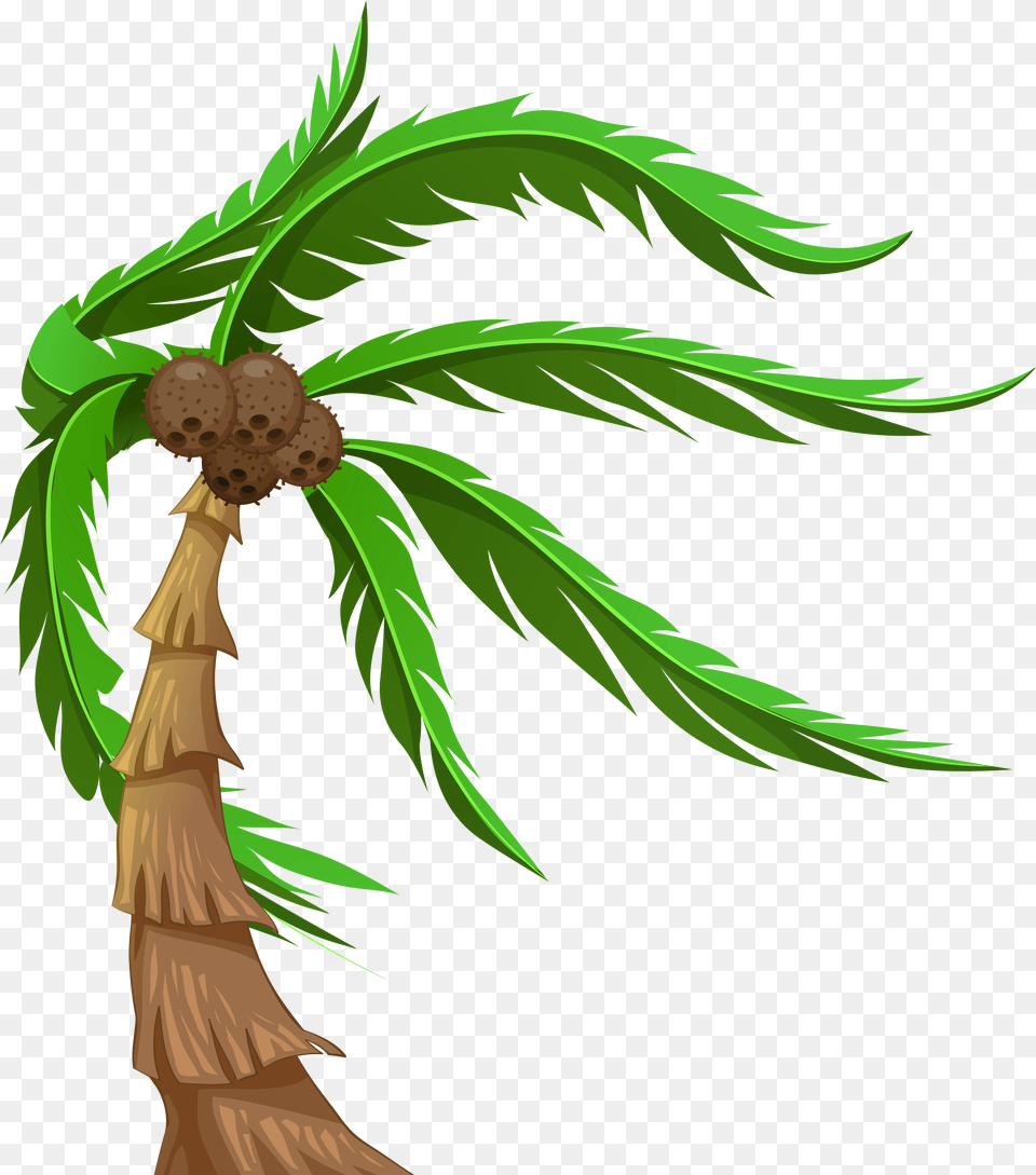 Palm Branch Clipart At Getdrawings Coconut Trees Clipart, Palm Tree, Plant, Tree Png Image