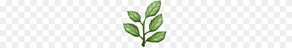 Palm Branch Emoji Meanings Emoji Stories, Green, Herbal, Herbs, Leaf Free Transparent Png