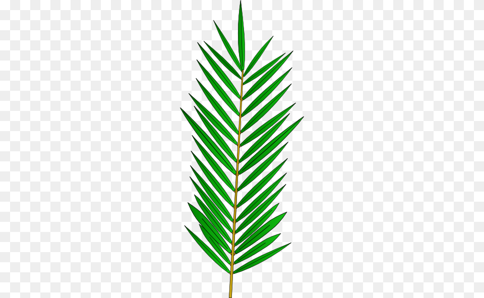 Palm Clip Art, Leaf, Plant, Tree, Grass Png
