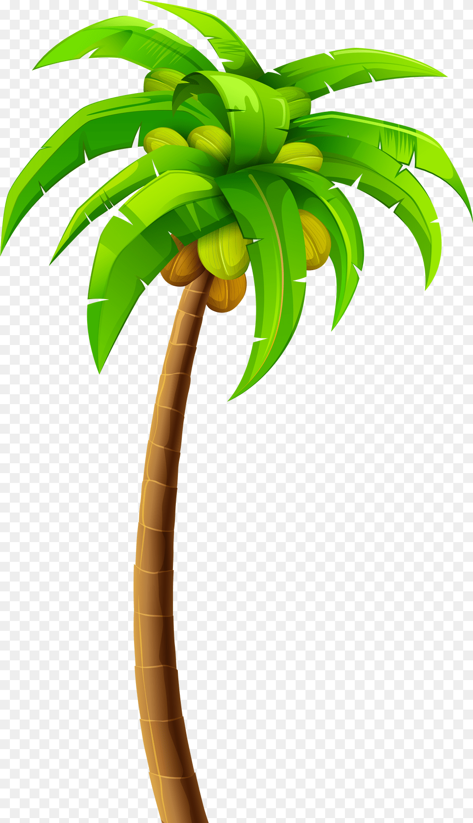 Palm Clip Art Palm Trees Clipart, Palm Tree, Plant, Tree Png Image