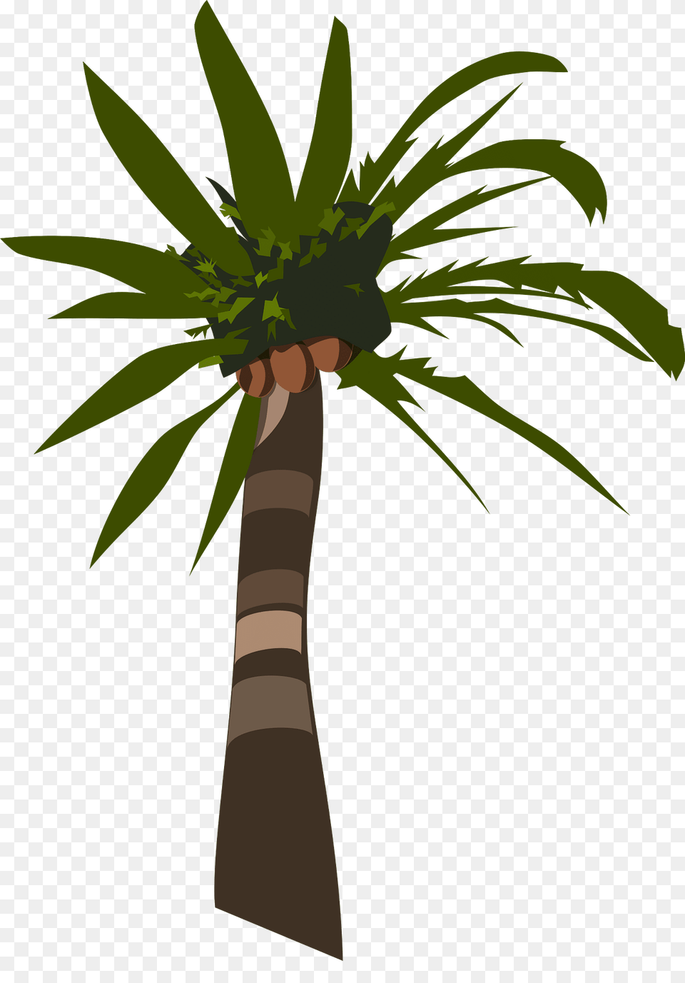 Palm Clipart, Palm Tree, Plant, Tree Free Png Download