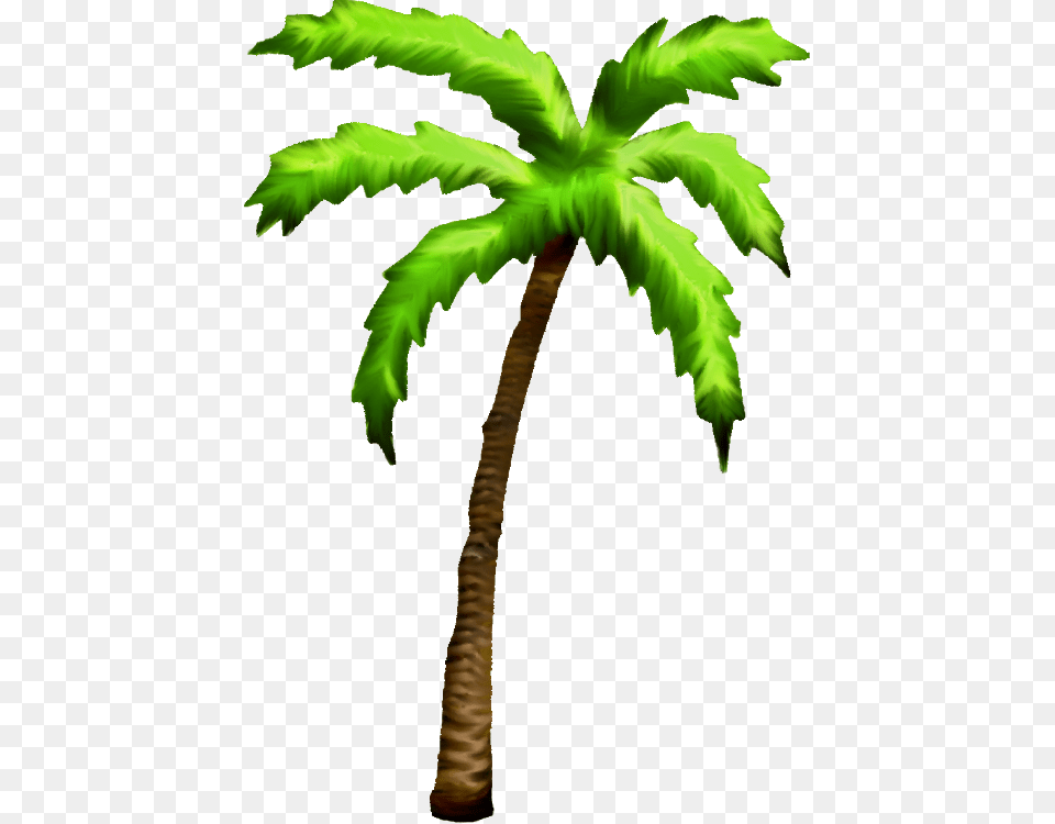 Palm Clipart, Palm Tree, Plant, Tree, Leaf Png