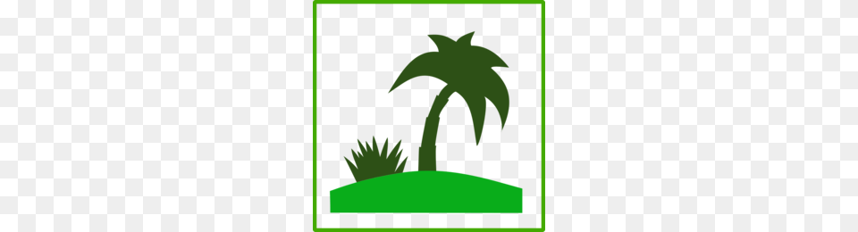 Palm Clipart, Green, Leaf, Plant, Tree Free Transparent Png