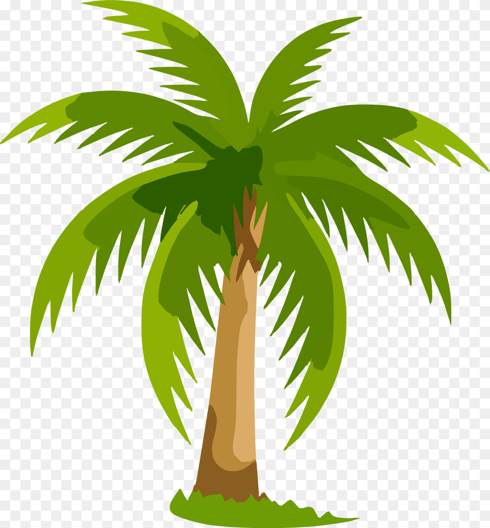 Palm Clipart, Palm Tree, Plant, Tree, Vegetation Free Png