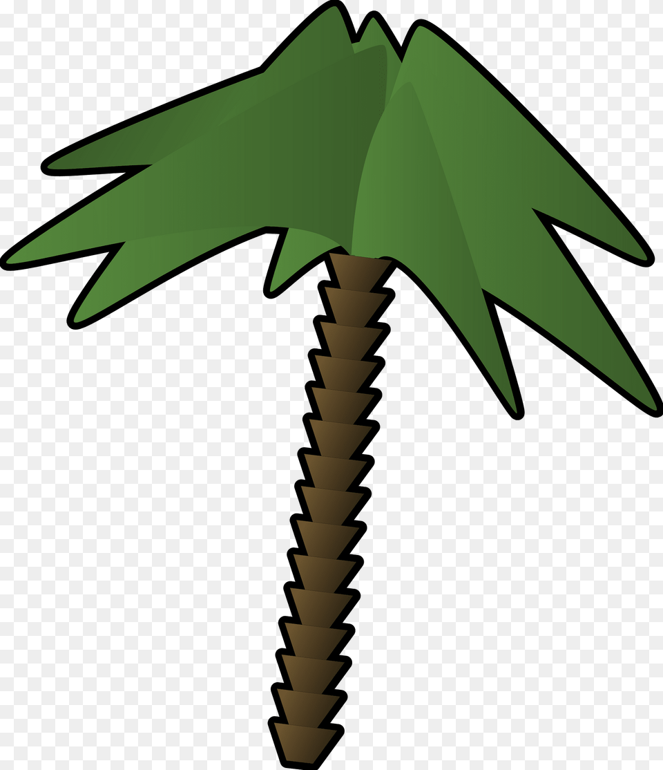 Palm Clipart, Leaf, Palm Tree, Plant, Tree Png Image