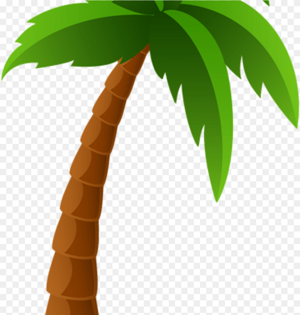 Palm Clipart Balloon Clipart Hatenylo Tropical Tree Clipart, Palm Tree, Plant, Person Free Transparent Png