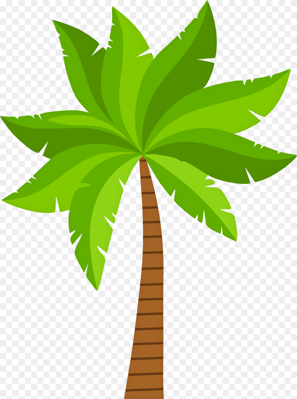 Palm Clipart Illustration Palm, Leaf, Palm Tree, Plant, Tree Free Png Download