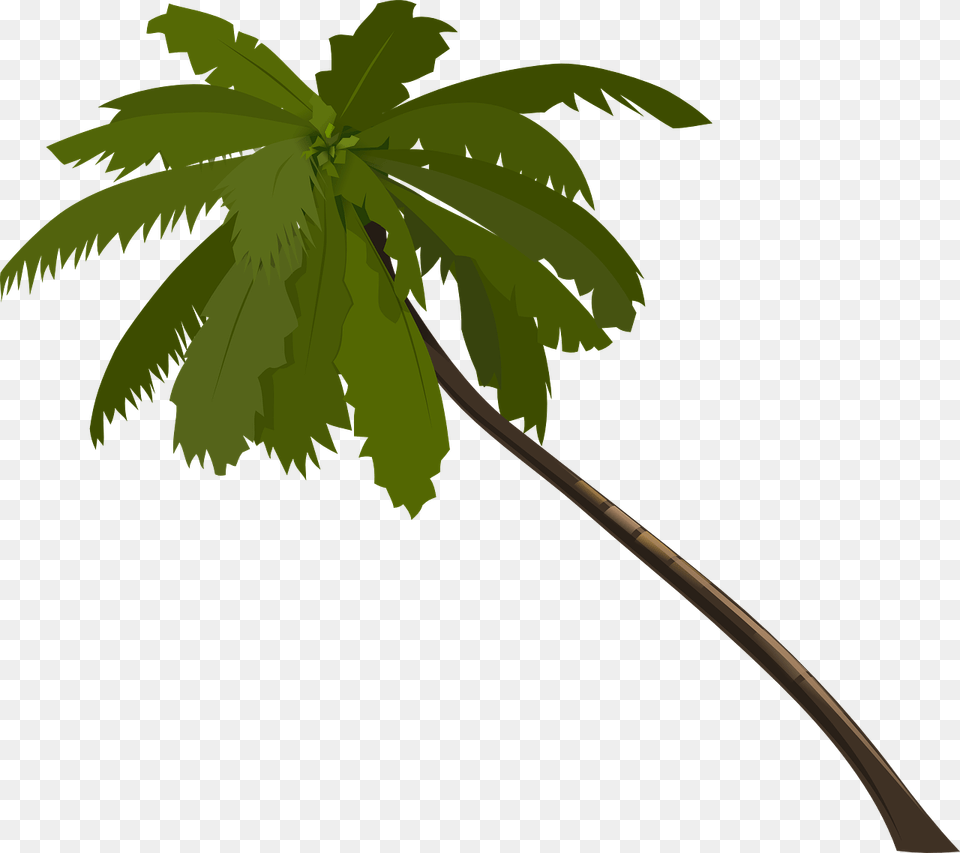 Palm Clipart Jungle Tree Orange Palm Tree, Leaf, Palm Tree, Plant, Green Png Image