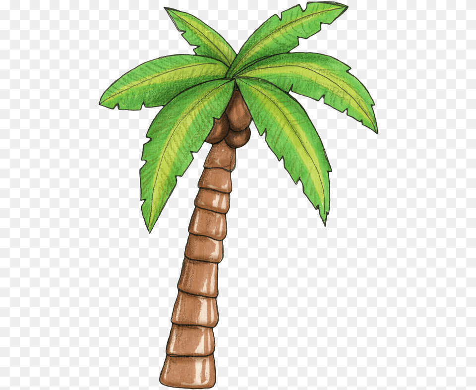 Palm Clipart Moana For Download Moana Palm Tree, Leaf, Palm Tree, Plant, Emblem Free Transparent Png