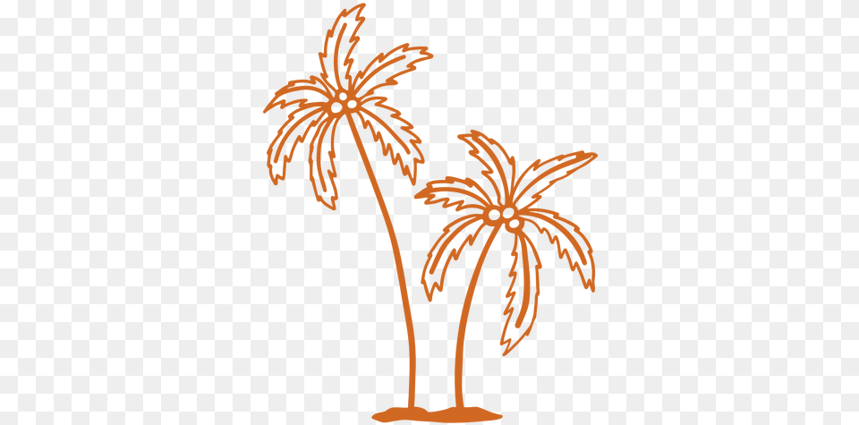 Palm Coconut Tree Hand Drawn Transparent U0026 Svg Vector File Illustration, Palm Tree, Plant, Fireworks, Pattern Png Image