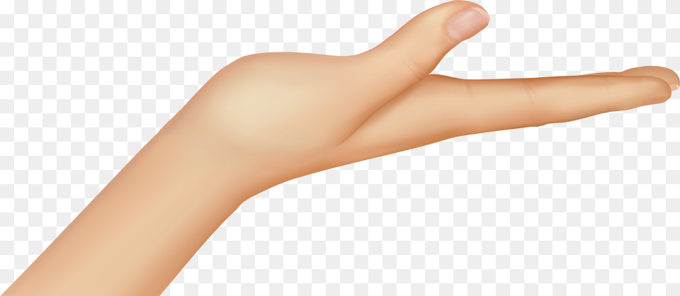 Palm Flat Of Hand Hand, Body Part, Finger, Person, Wrist Png