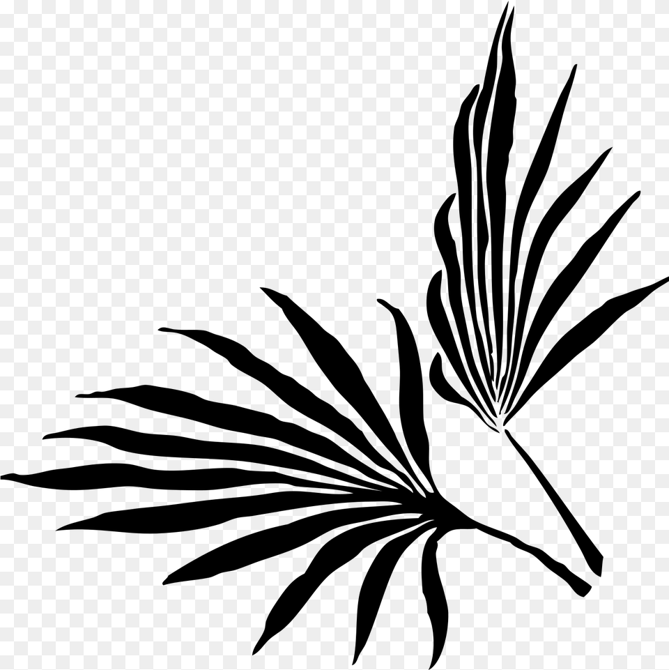 Palm Frond Clip Art, Gray Png