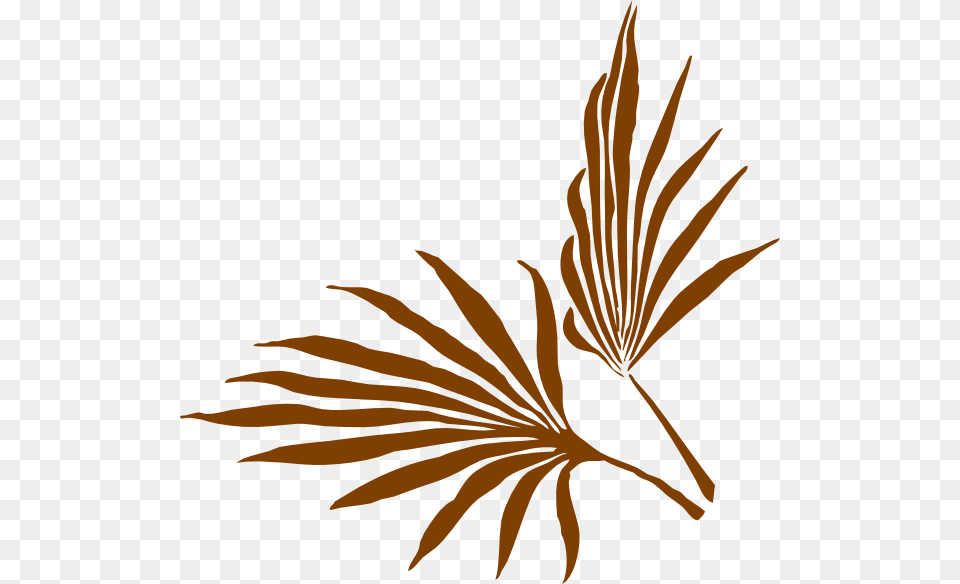 Palm Frond Clip Art, Plant, Pattern, Leaf, Herbs Free Png Download