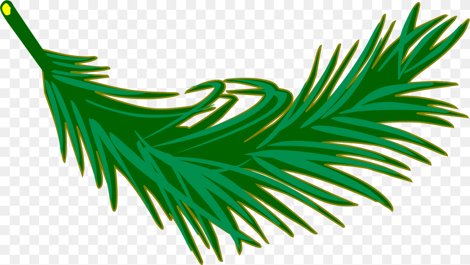Palm Frond Clip Arts Palm Leaves Clipart, Conifer, Plant, Tree, Grass Png