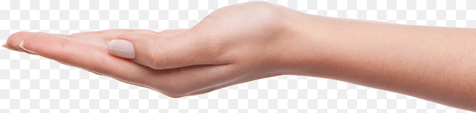 Palm Hands Hand Image Palm Of Hand, Body Part, Person, Wrist, Adult Free Png Download
