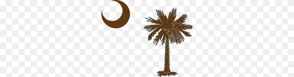 Palm Icon Cliparts, Tree, Plant, Palm Tree, Outdoors Png
